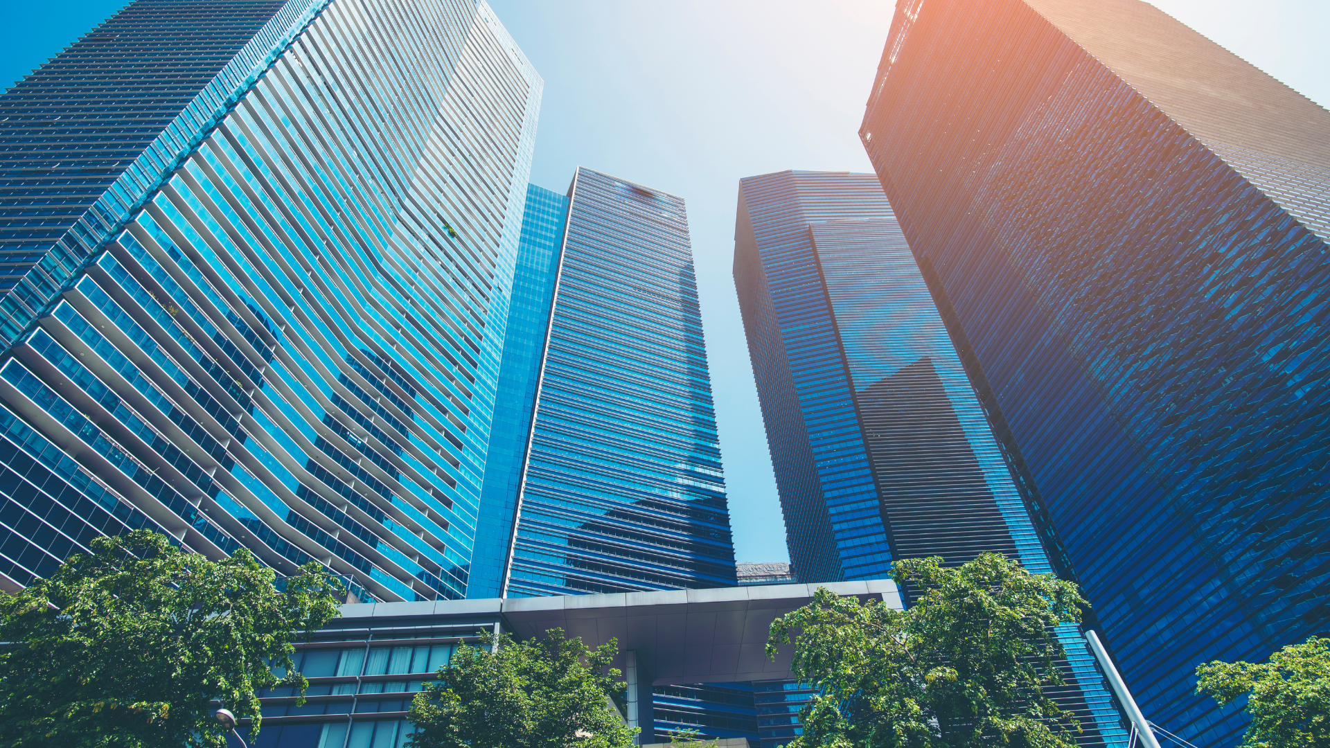 Tours de bureaux aux façades vitrées vues en contre-plongée, avec des arbres au premier plan