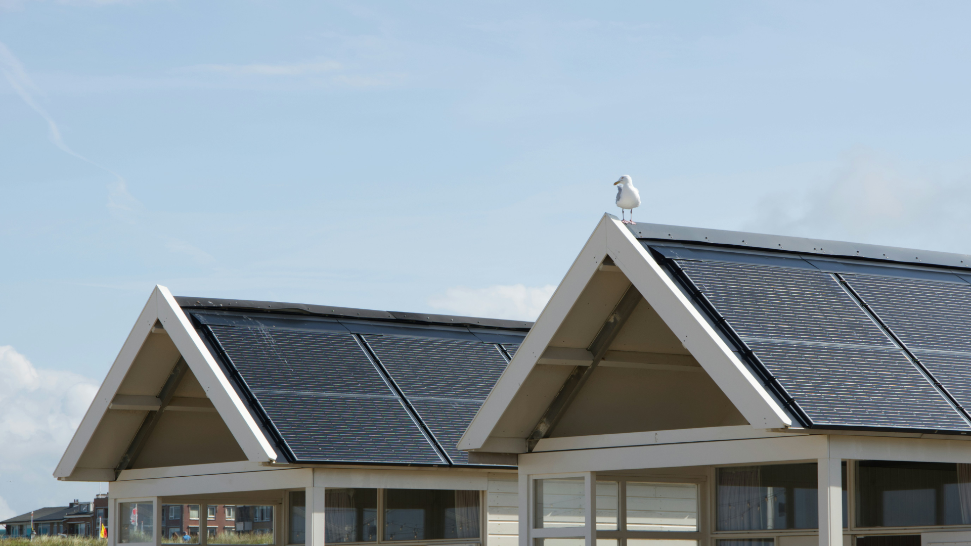 Panneaux solaires installés sur les toits d'entreprises