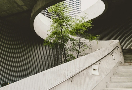 arbre au sein d'un immeuble moderne