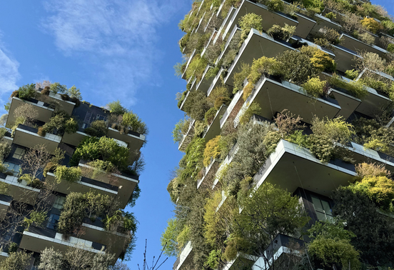 Bâtiment au sein d'une ville verte