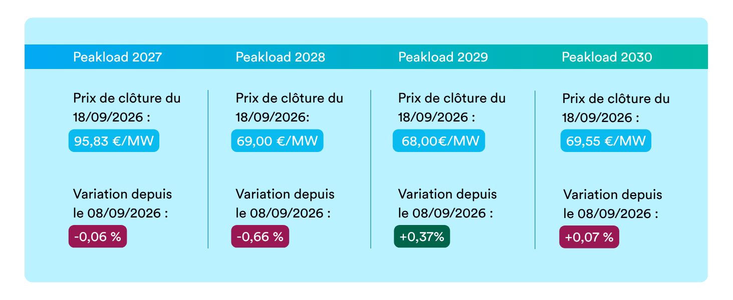 peakload 2209